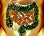 Gut bacteria produce hormone-like proteins that regulate weight and blood sugar