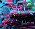 Harnessing the power of gut bacteria to enhance cancer immunotherapy effectiveness