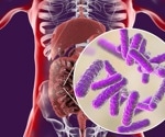 Beneficial gut bacteria found to suppress harmful microbes