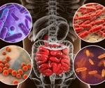 Gut bacteria produce hormone-like proteins that regulate weight and blood sugar