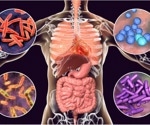 Harnessing the power of gut bacteria to enhance cancer immunotherapy effectiveness