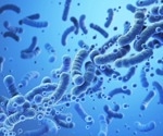 Harnessing the power of gut bacteria to enhance cancer immunotherapy effectiveness