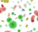 Restricted diet triggers drop in microbial diversity without convergence