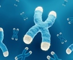 Structural insights into IVD enzyme function and isovaleric acidemia