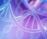 Uncovering the hidden architecture of the genome in three dimensions