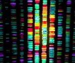 Uncovering the hidden architecture of the genome in three dimensions