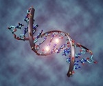 Understanding how long non-coding RNAs control gene expression in cancer