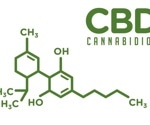 Cannabis extract can improve behavior of children and teens with autism spectrum disorder