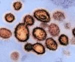 Scientists develop promising new drug candidates against coronaviruses