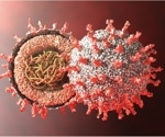 Global vaccination effort saved 2.5 million lives from SARS-CoV-2