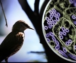 Computer models to combat the H5N1 strain of the bird influenza virus