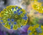 Domestic ducks may have acquired role in the transmission of H5N1 to other poultry and humans