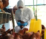 Vietnamese relatives have birdflu but they're not sick