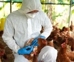 Hong Kong reports case of H5N1 in dead bird