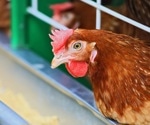 World first air purification technology for H5N1 Avian Influenza