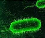Cholera cases in Europe linked to holy water imported from Ethiopia