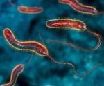 Genetic bottlenecks limit the rise of pandemic cholera strains