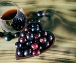 The First International Congress on Antioxidant Methods