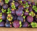 Uniform measurement standards for antioxidants