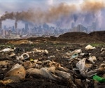 Urban light pollution may disrupt winter dormancy period for disease-carrying mosquitoes