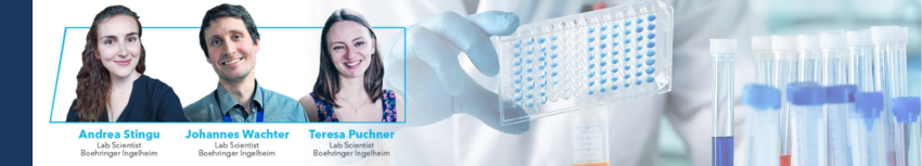 Protein analysis