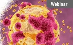 Challenges and strategies in method development for vaccine efficacy evaluation