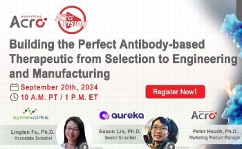Building the perfect antibody-based therapeutic from selection to engineering and manufacturing