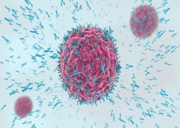 Biophysical and Stability Characterization of Antibody-Drug Conjugates